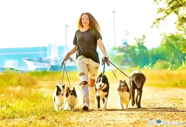 Trabajo cuidando mascotas y paseando perros